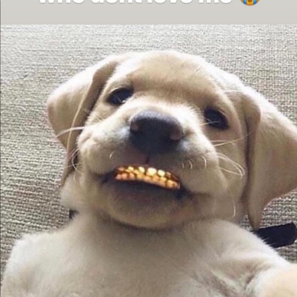 realtjwatson